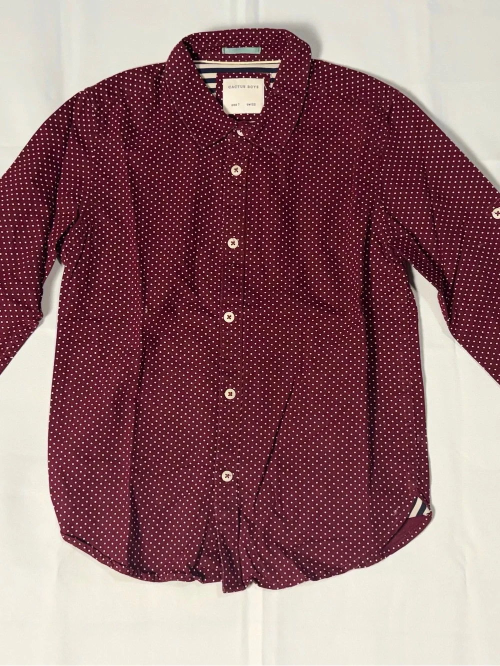 Cactus Burgundy Dot Button-Down Shirt